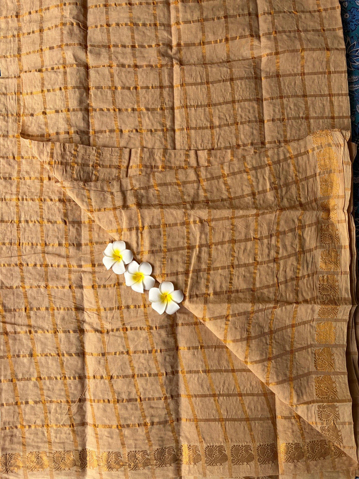 Kattam Sungudi Saree with Annam Design Border | TLL175