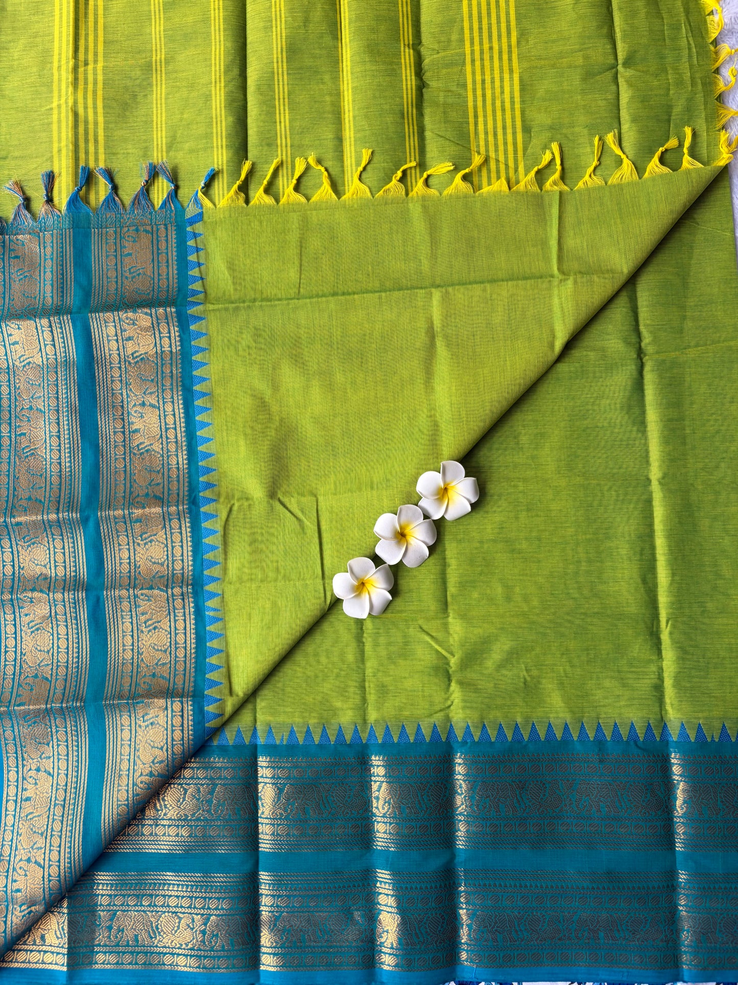 Kanchi Cotton Saree Light Green | TLL252