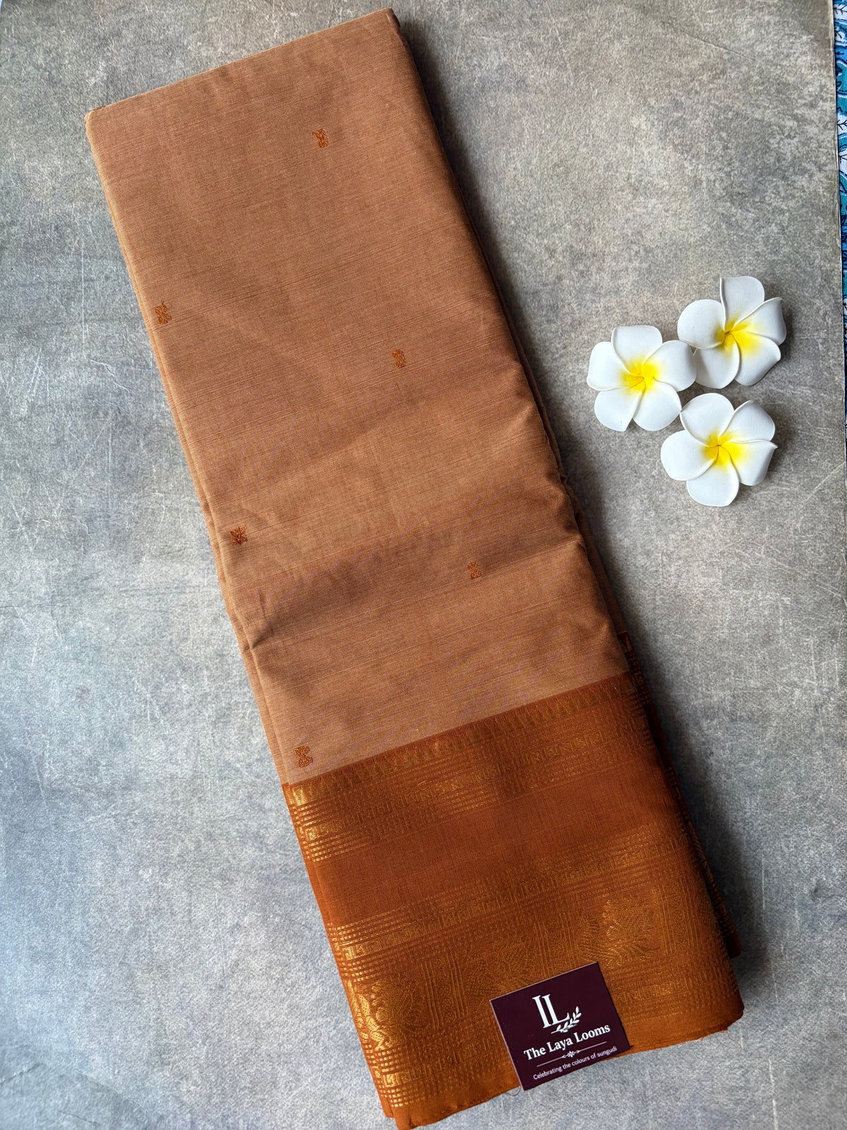Kanchi Cotton Saree Light Brown | TLL662