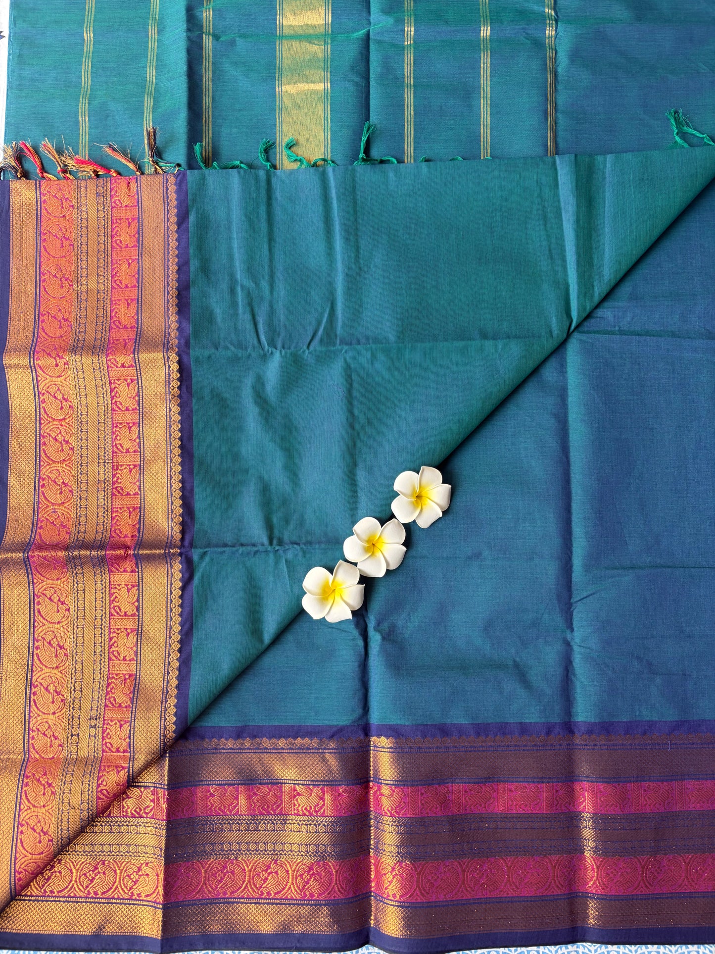 Kanchi Cotton Saree peacock Blue | TLL254