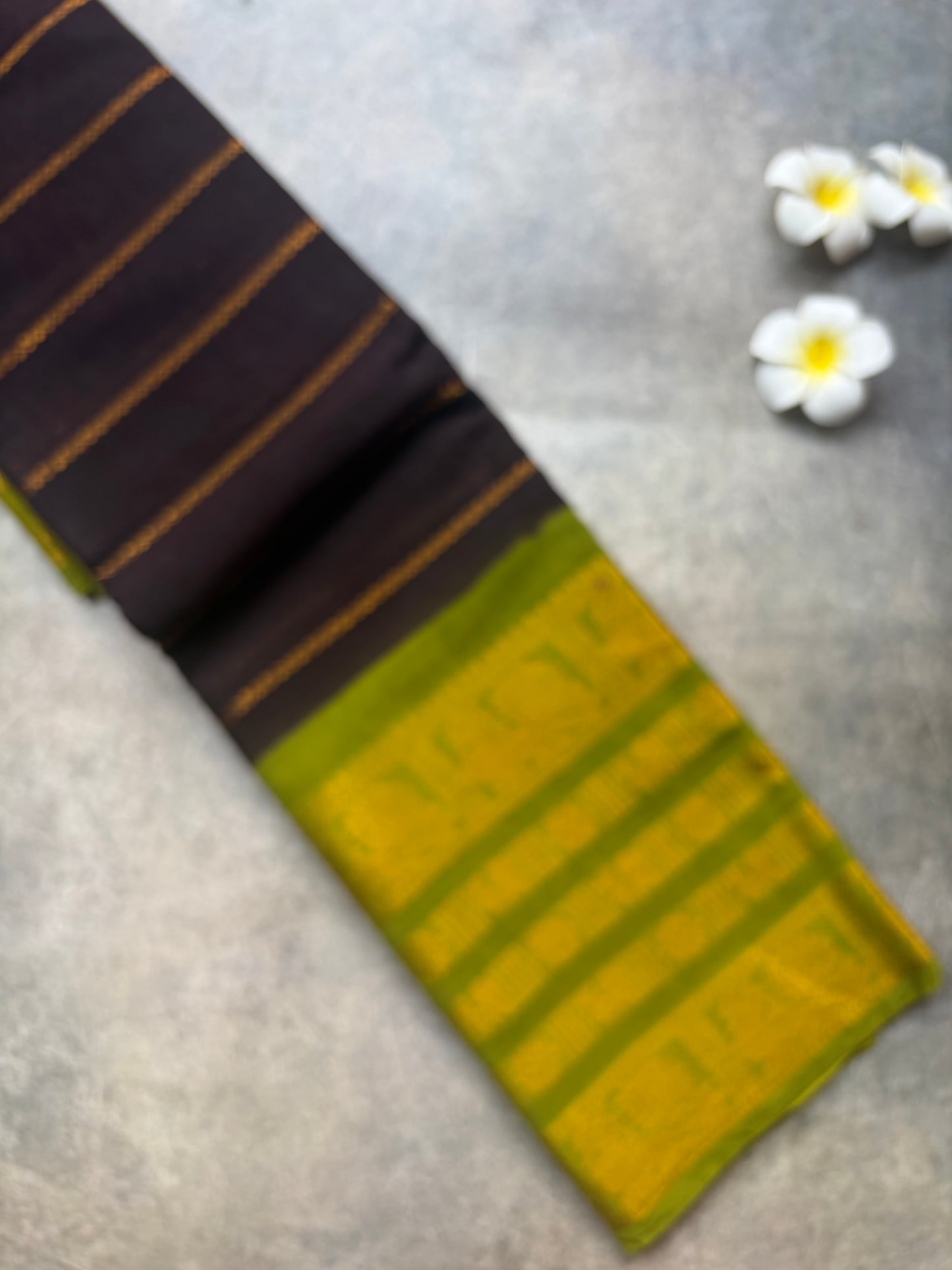 Big Border Kanchi border Sungudi Cotton saree | TLL164