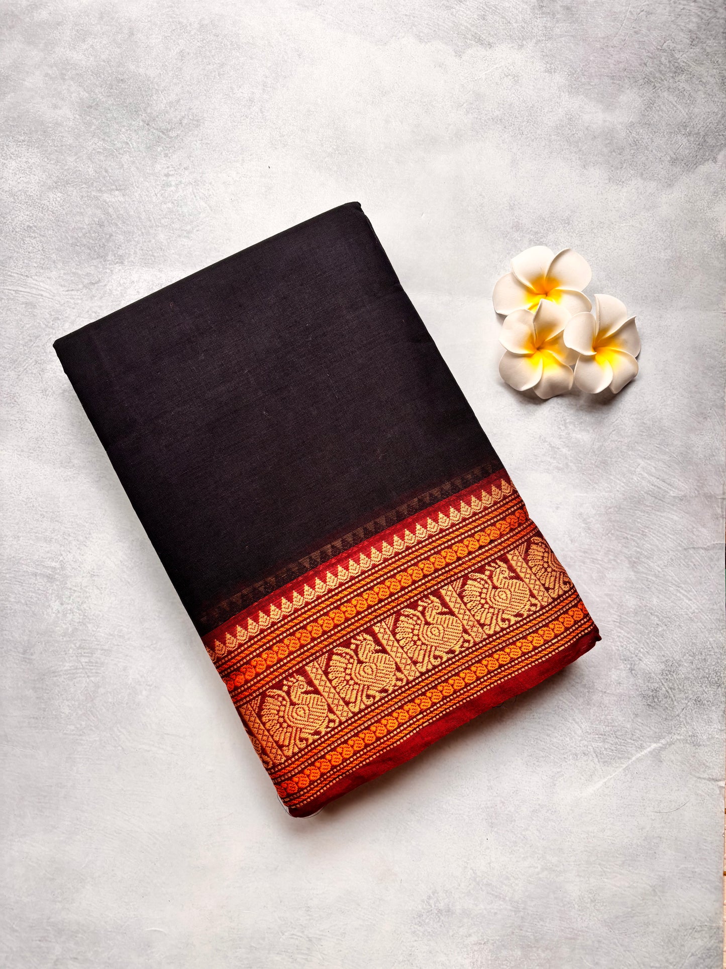 Black Kanchi Cotton Saree with Traditional Annam Border & Attached Blouse | The Laya Looms