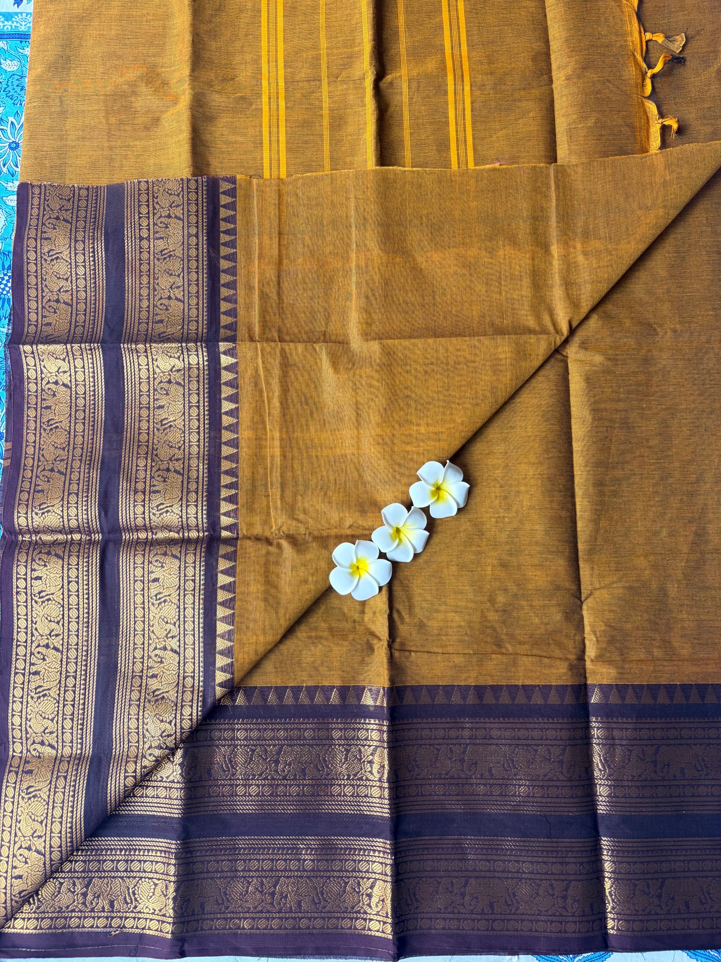 Kanchi Cotton Saree Mustard Yellow | TLL253