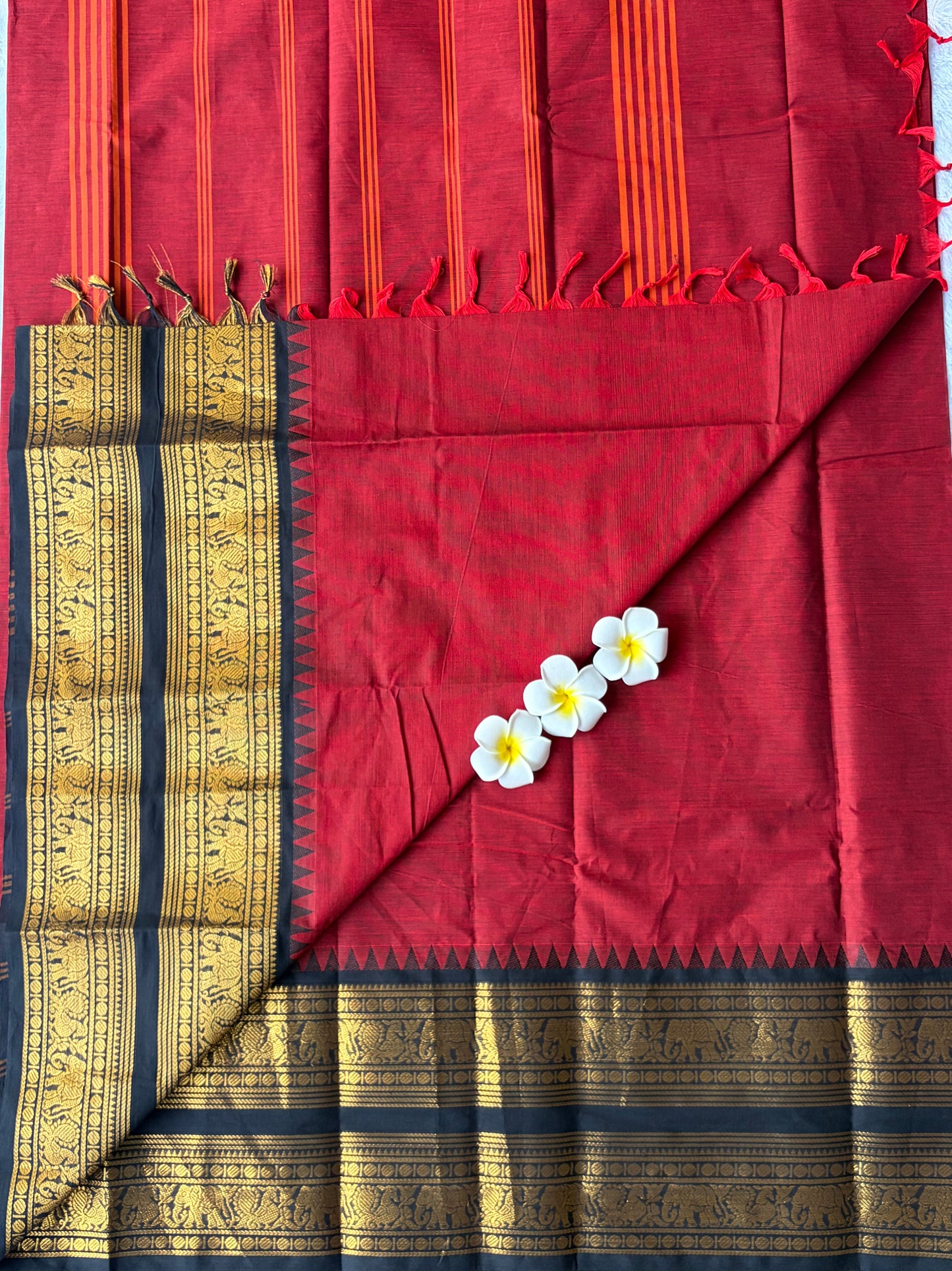 Kanchi Cotton Saree Red | TLL251