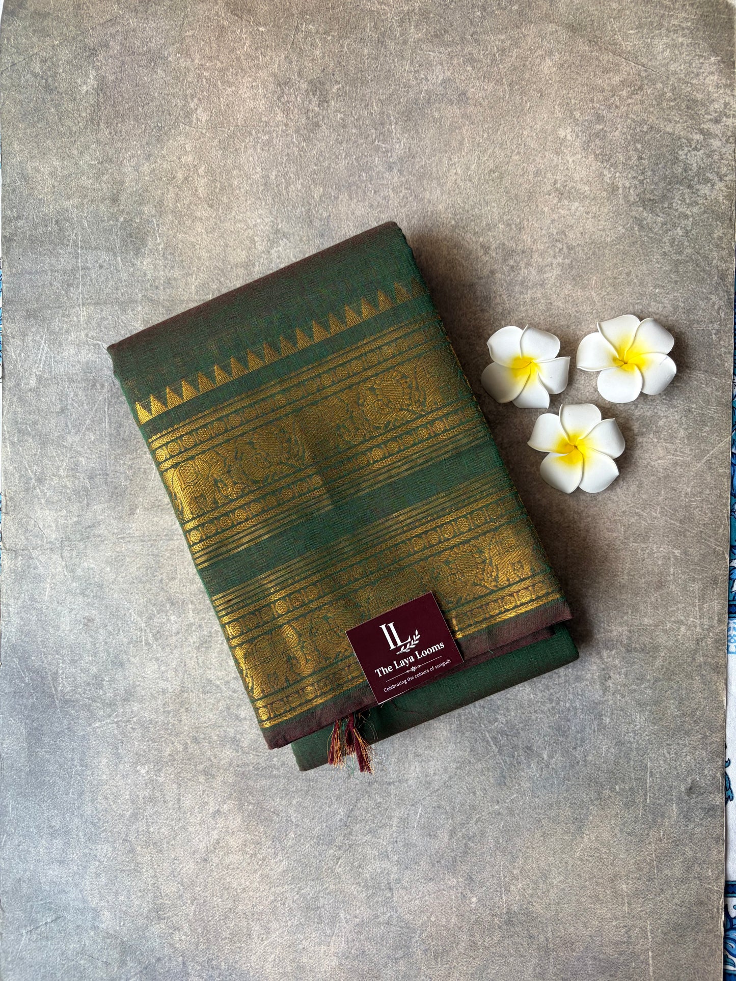 Kanchi Cotton Saree Bottle Green | TLL263