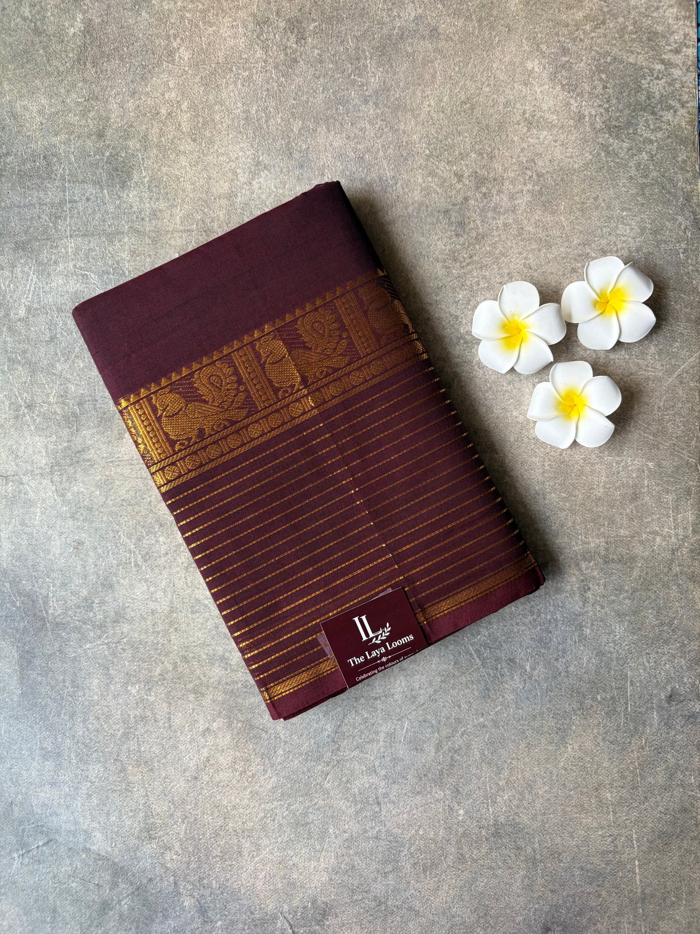 Kanchi Cotton Saree Dark Brown | TLL671