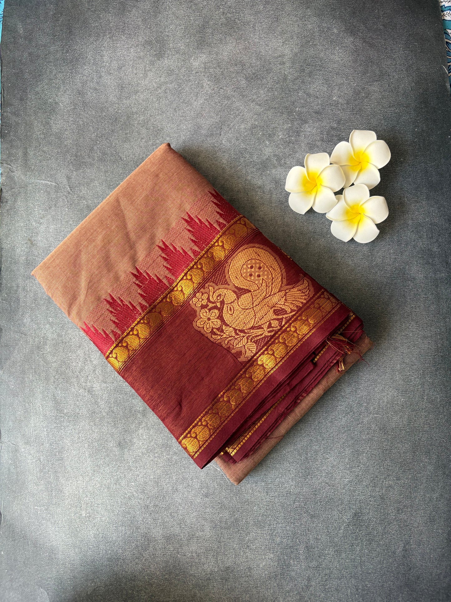 Kanchi Cotton Saree Maroon Border with Annam Design TLL186