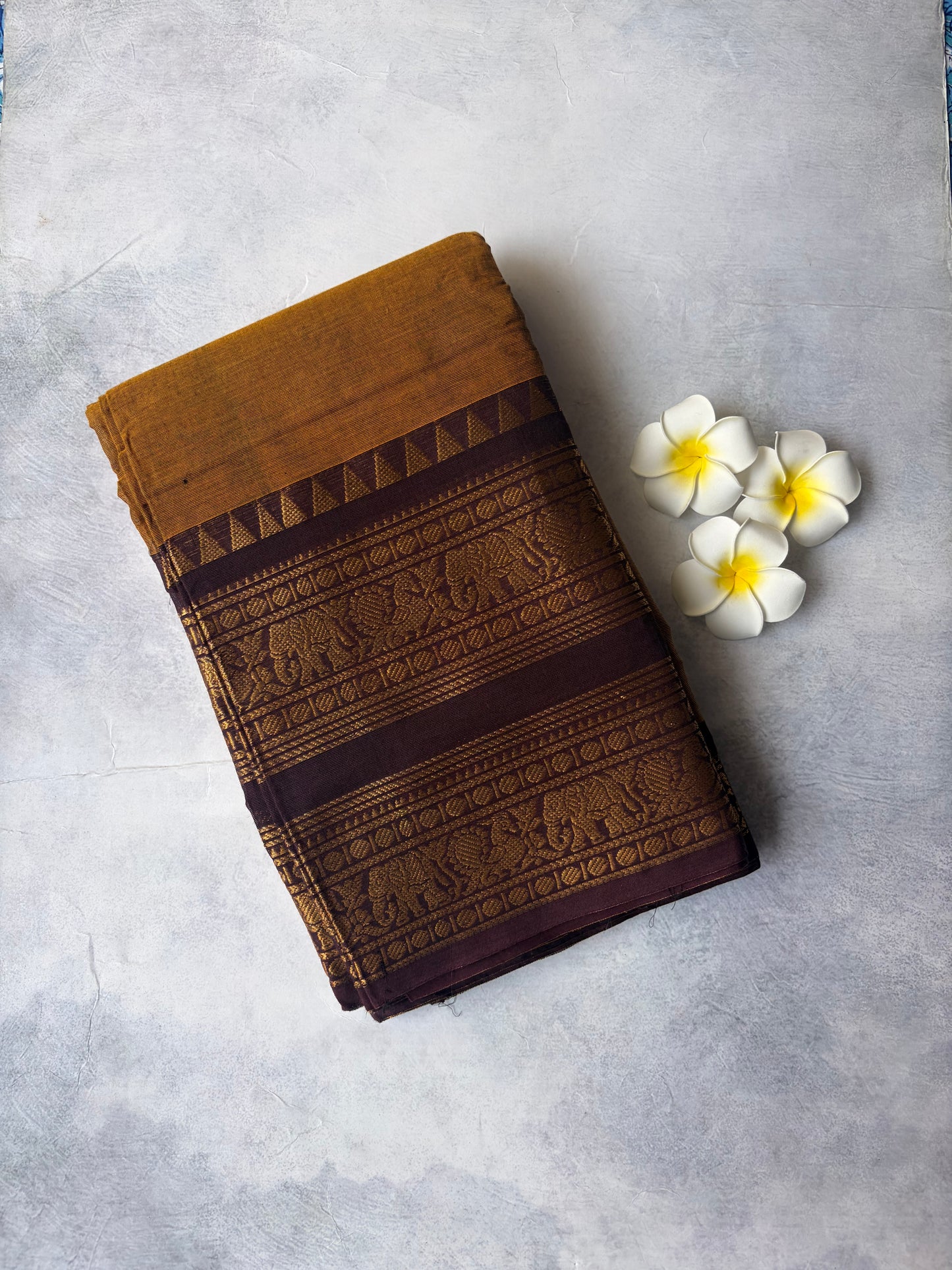 Kanchi Cotton Saree Mustard Yellow | TLL253