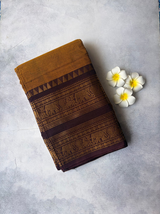 Kanchi Cotton Saree Mustard Yellow | TLL253