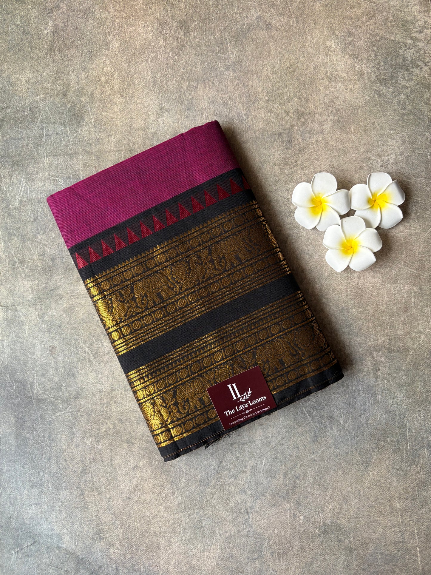 Kanchi Cotton Saree Magenta with Black | TLL669
