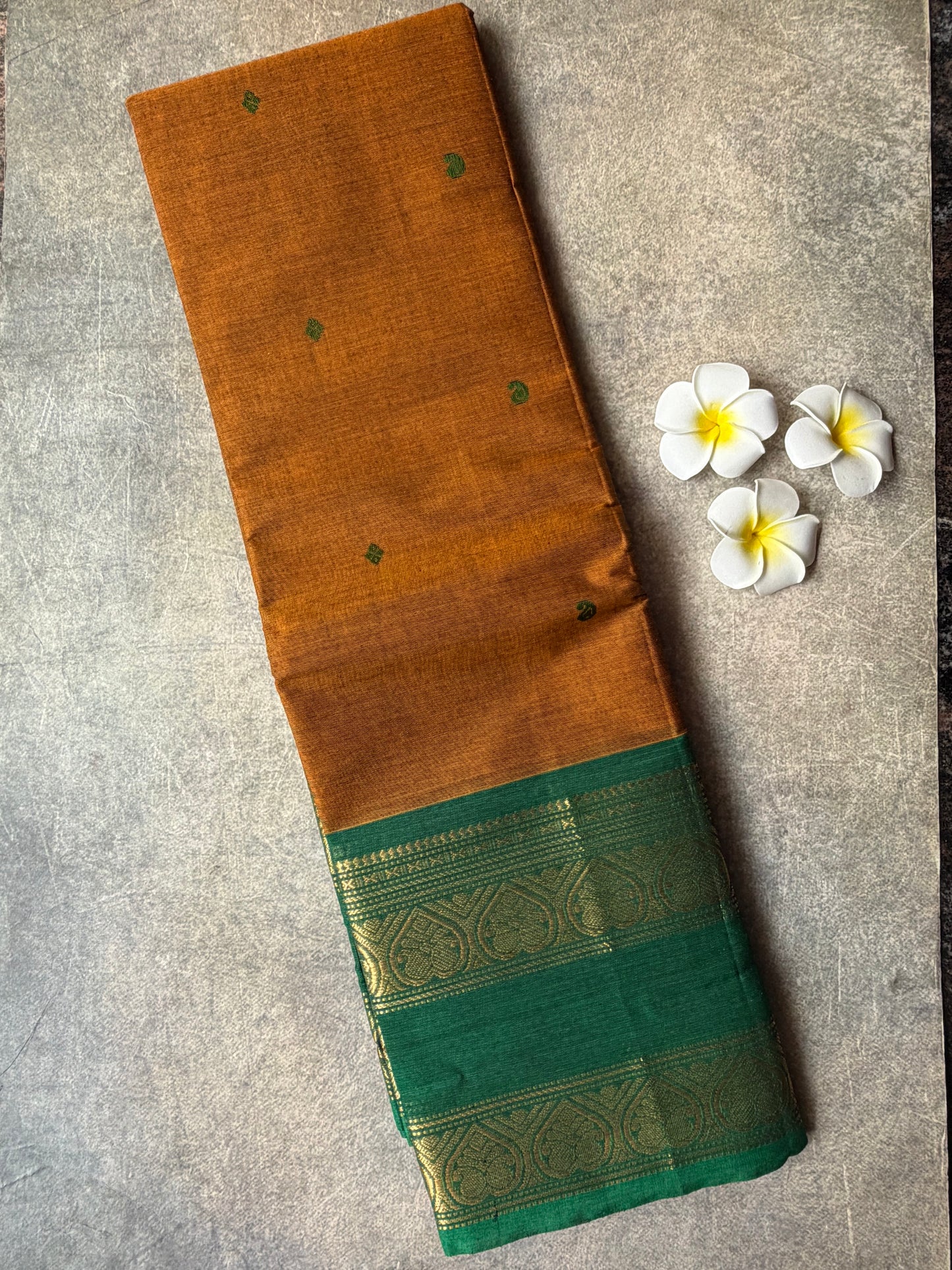 Kanchi Cotton Saree Mustard Yellow | TLL704