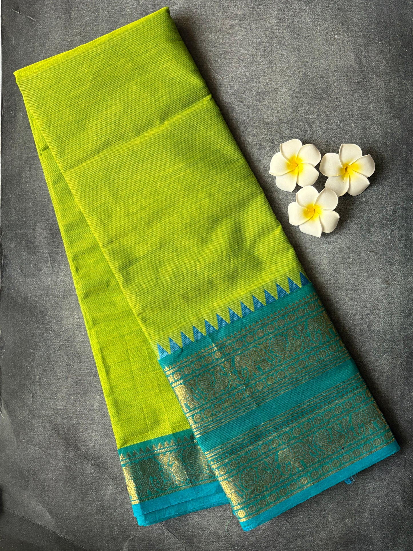 Kanchi Cotton Saree Light Green | TLL252