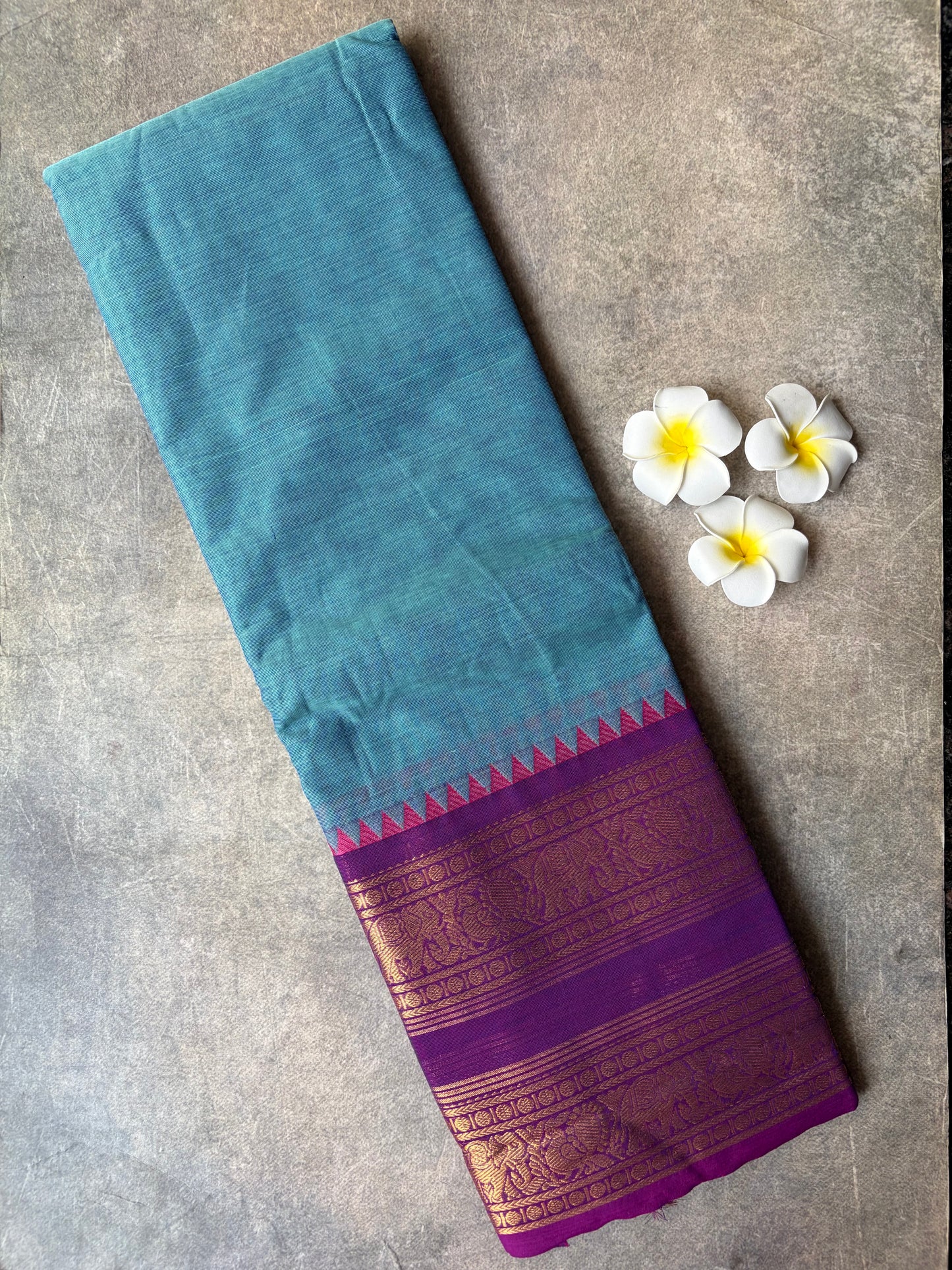 Kanchi Cotton Saree Sky Blue | TLL740
