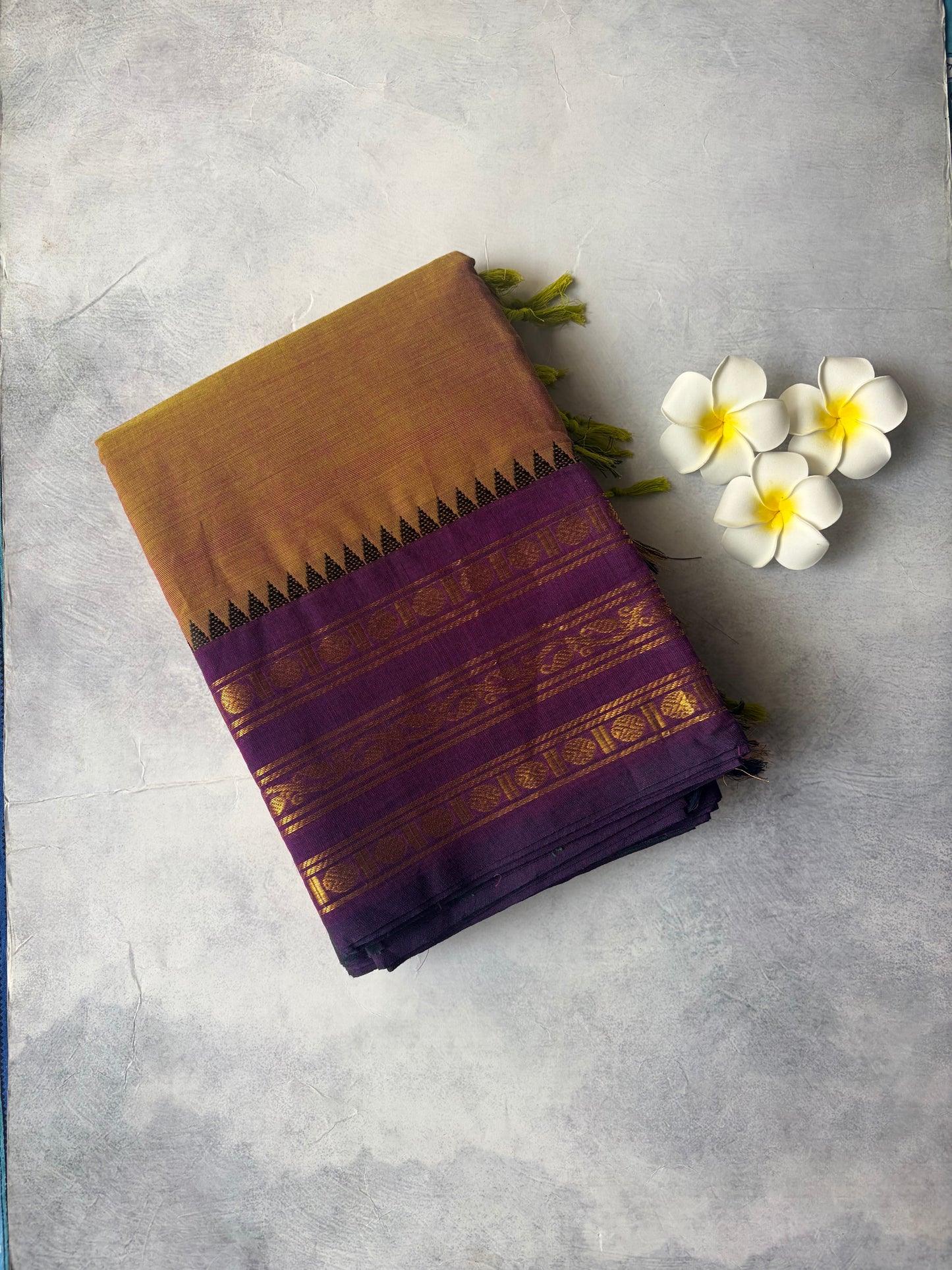 Kanchi Cotton Saree greenish Yellow | TLL255