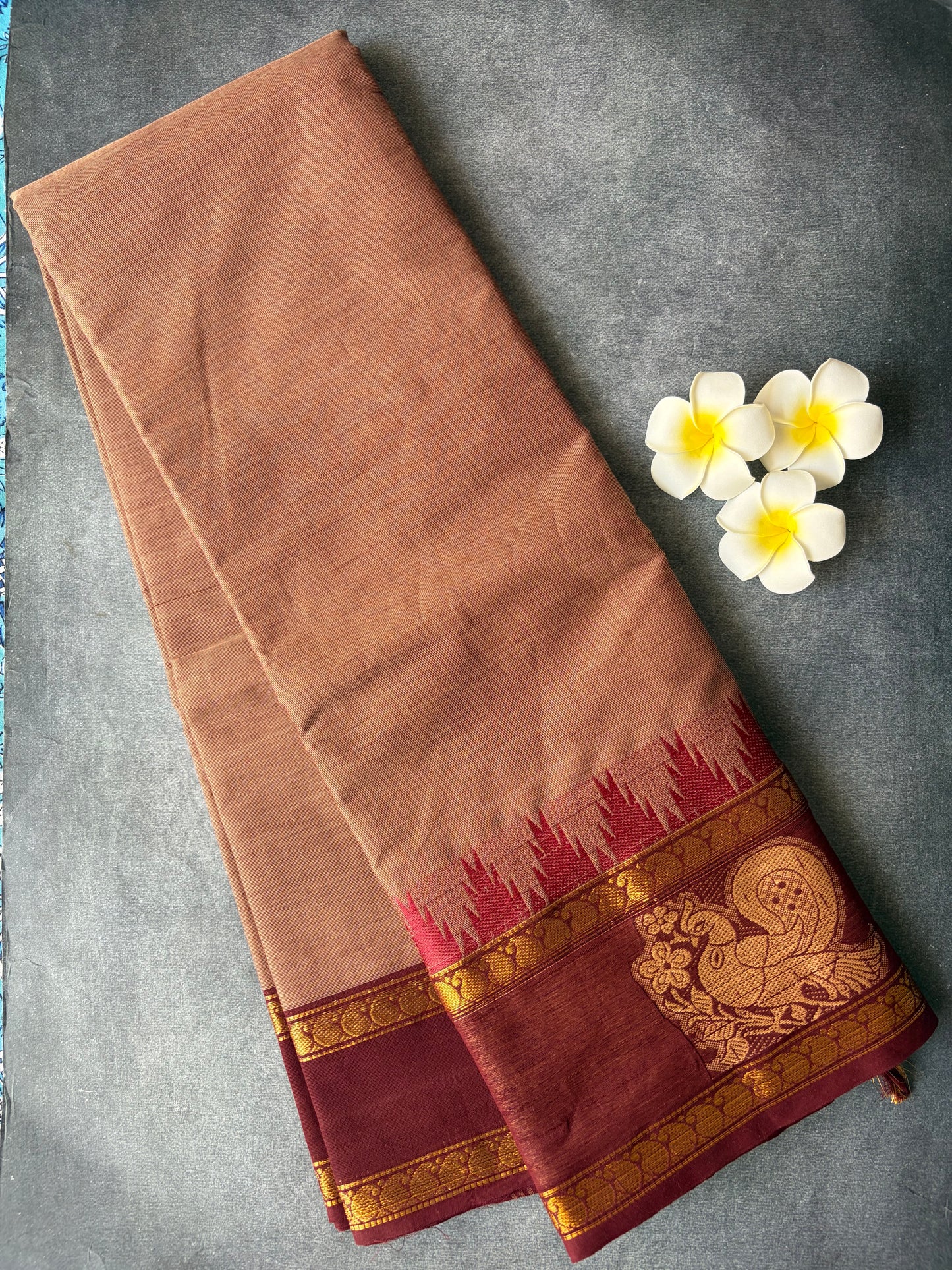 Kanchi Cotton Saree Maroon Border with Annam Design TLL186