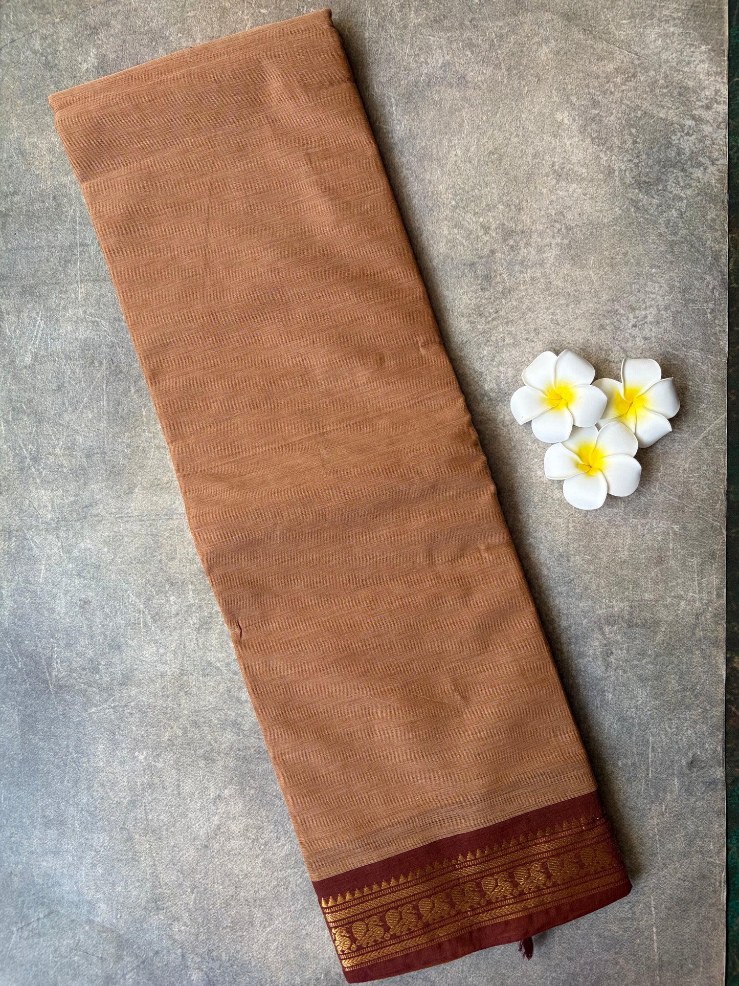 Kanchi Cotton Saree Ligh Brown | TLL364