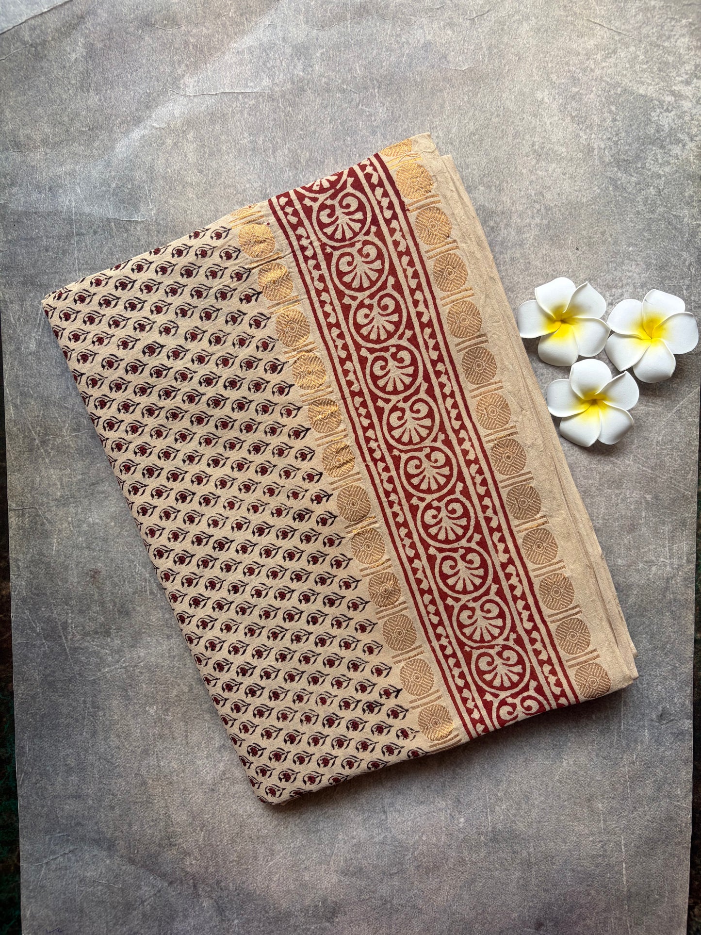 Handloom Cotton Saree half White | TLL391