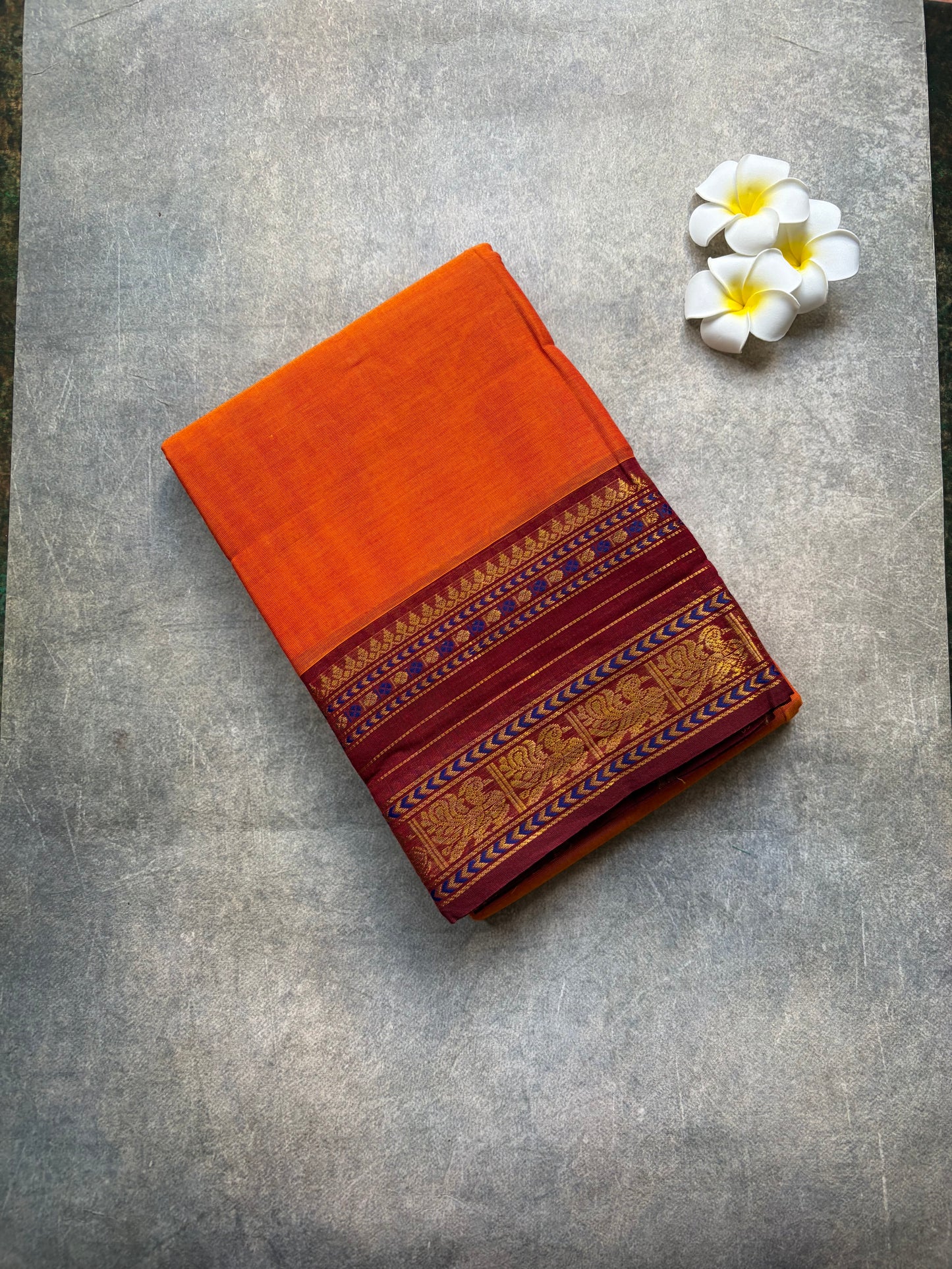 Kanchi cotton - Rust Orange and marron border