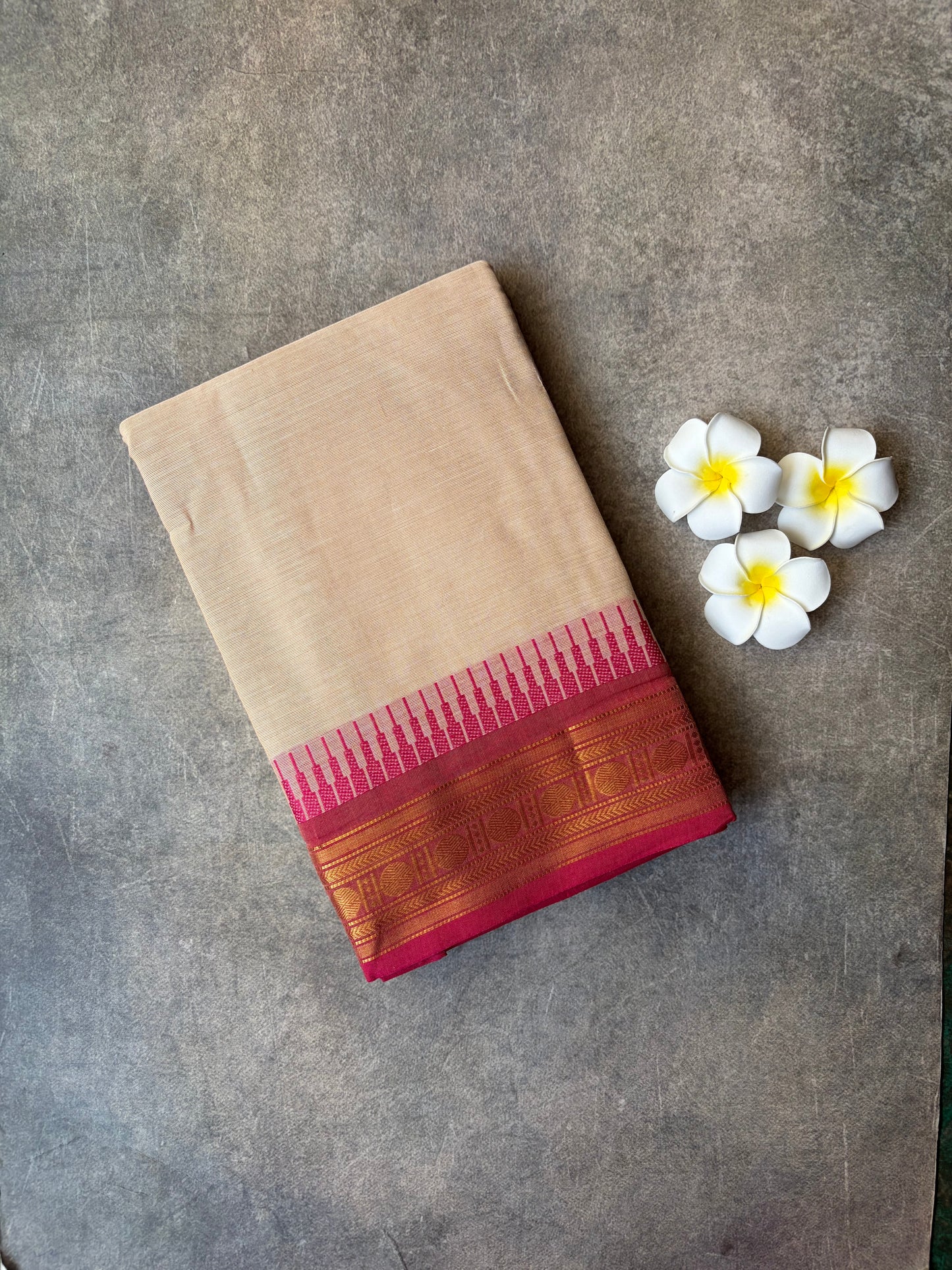 Kanchi Cotton Saree Light Cream Ganga-Jamuna Border | TLL371