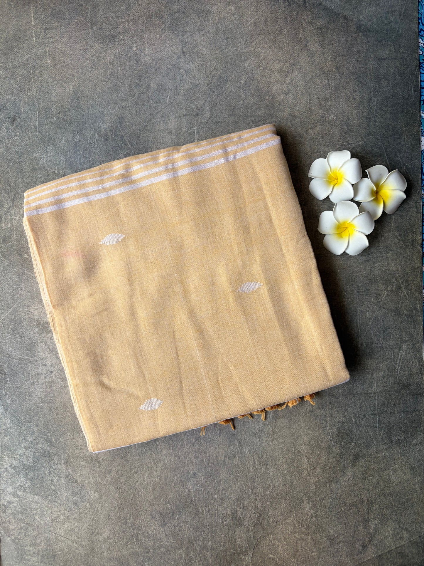 Jamdani Mul Mul Cotton Saree Cream | TLL547