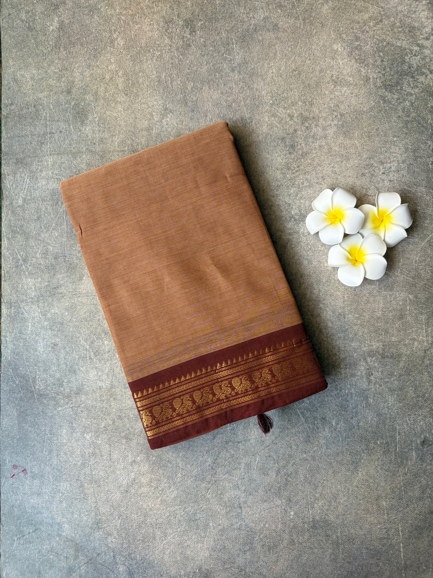 Kanchi Cotton Saree Ligh Brown | TLL364