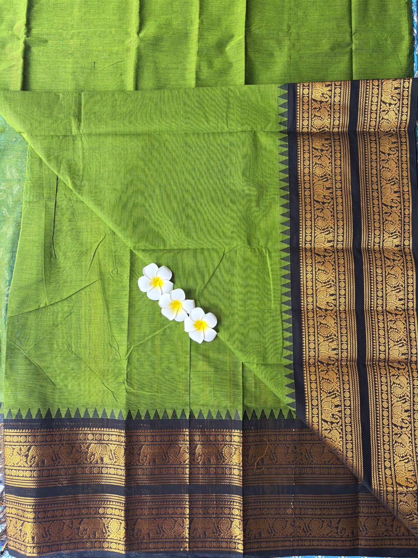 Green Kanchi cotton