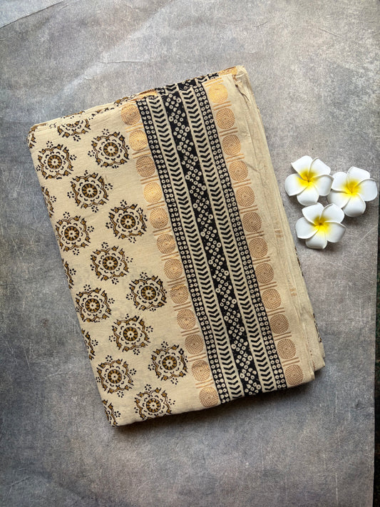 Handloom Cotton Saree White | TLL388