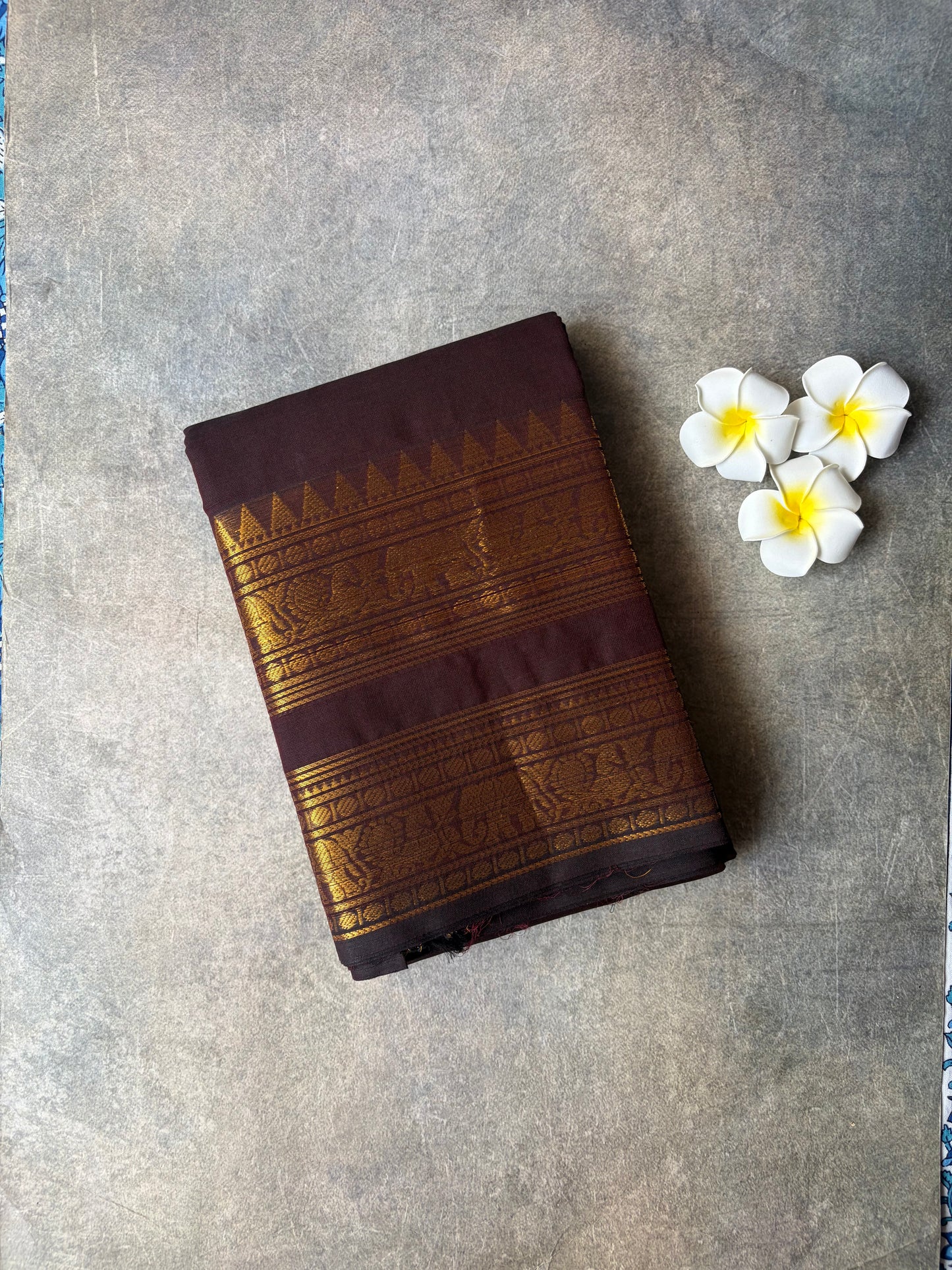 Kanchi Cotton Saree Coffee Brown | TLL340