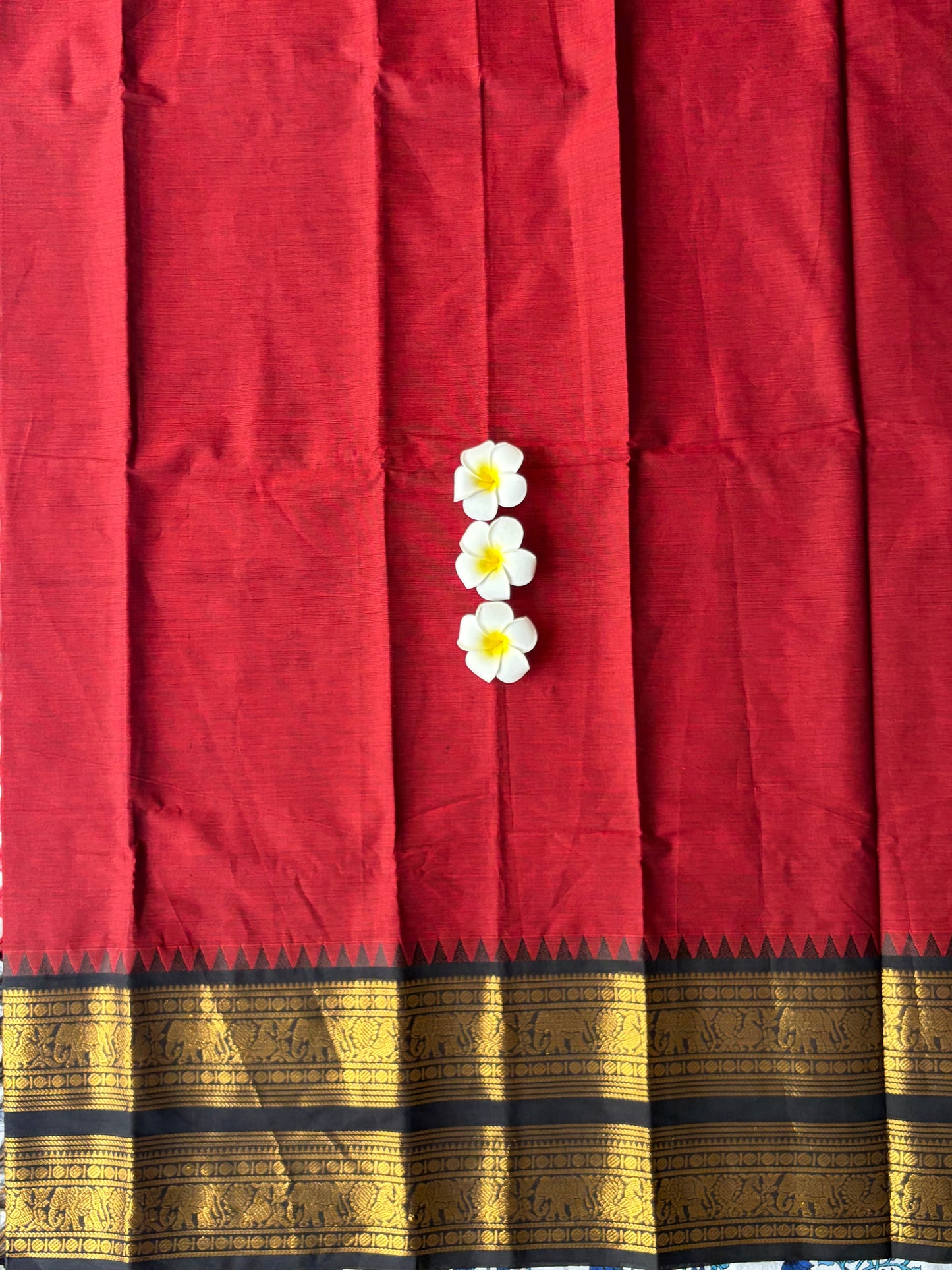 Kanchi Cotton Saree Red | TLL251