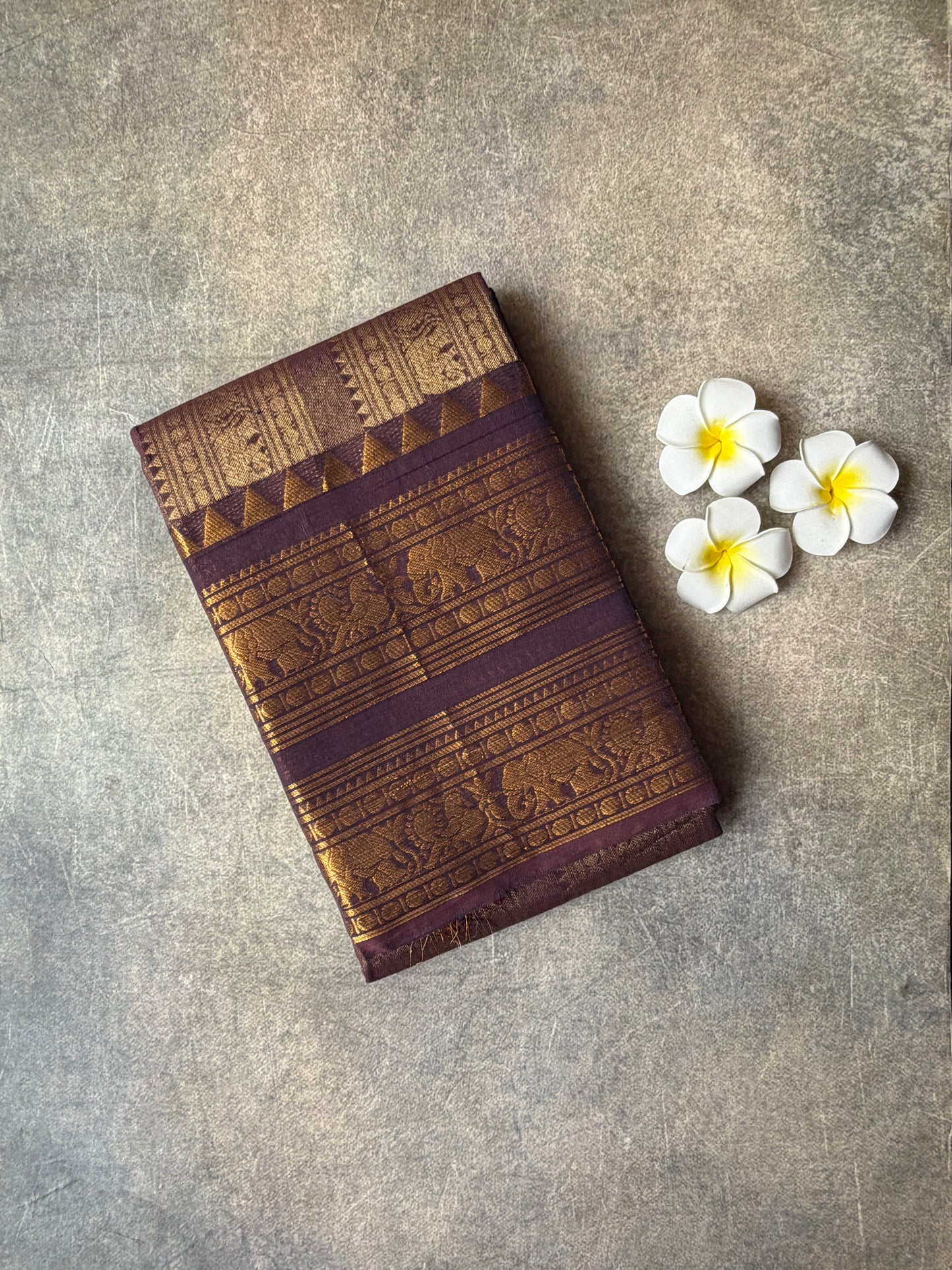 Kanchi Cotton Saree Rich Pallu Chocolate Brown | TLL707