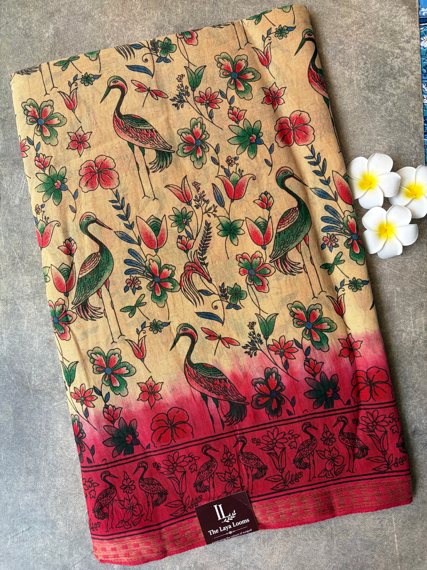 Kalamkari Cotton Saree Cream with Red Border | TLL592