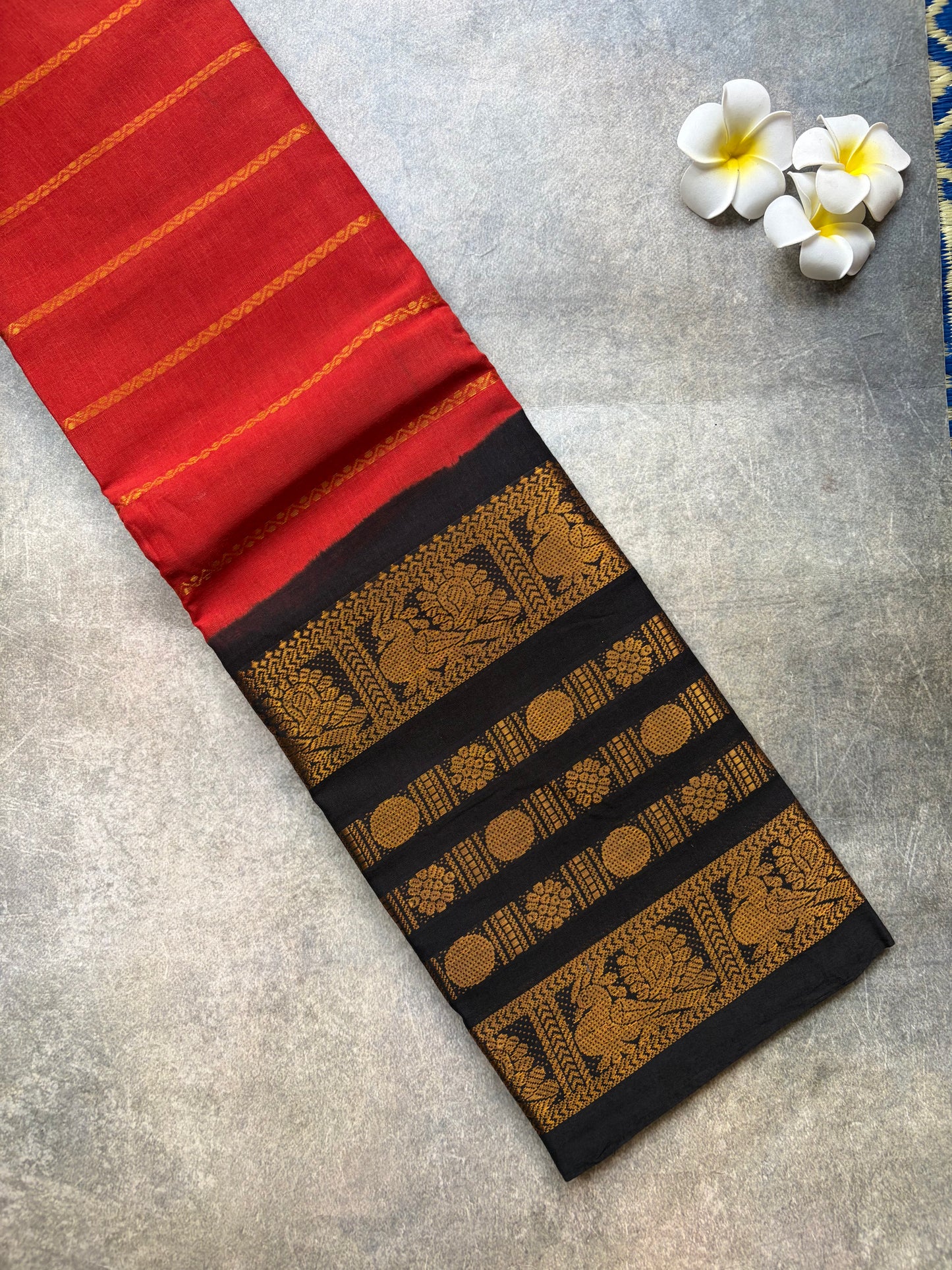 Big Border Kanchi border Sungudi Cotton saree | TLL164